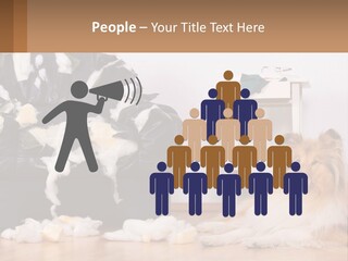 A Dog Sitting On The Floor Next To A Chair PowerPoint Template