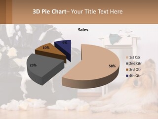 A Dog Sitting On The Floor Next To A Chair PowerPoint Template