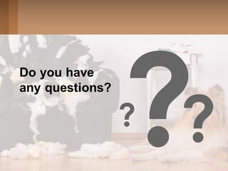 A Dog Sitting On The Floor Next To A Chair PowerPoint Template