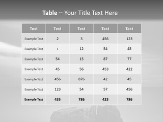 A Black And White Photo Of A Rock In The Ocean PowerPoint Template