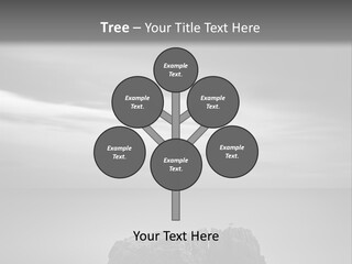 A Black And White Photo Of A Rock In The Ocean PowerPoint Template