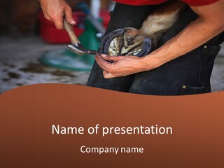 A Man Is Holding A Cat In His Hands PowerPoint Template