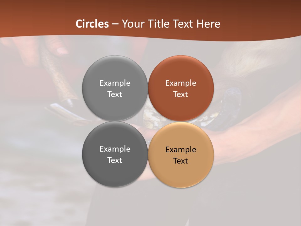 A Man Is Holding A Cat In His Hands PowerPoint Template