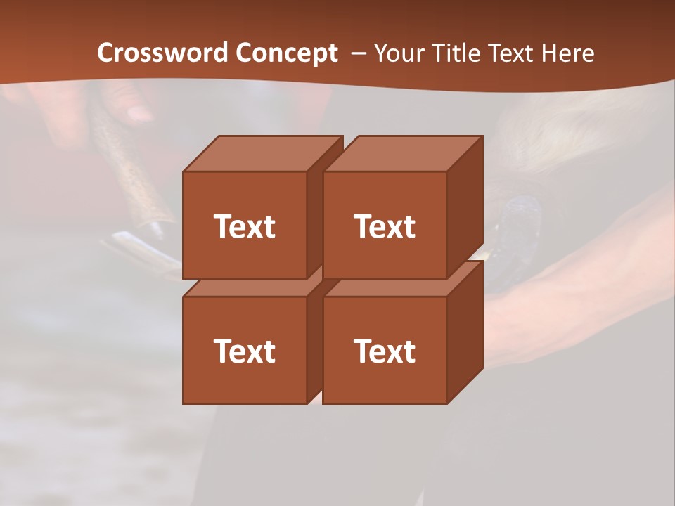 A Man Is Holding A Cat In His Hands PowerPoint Template