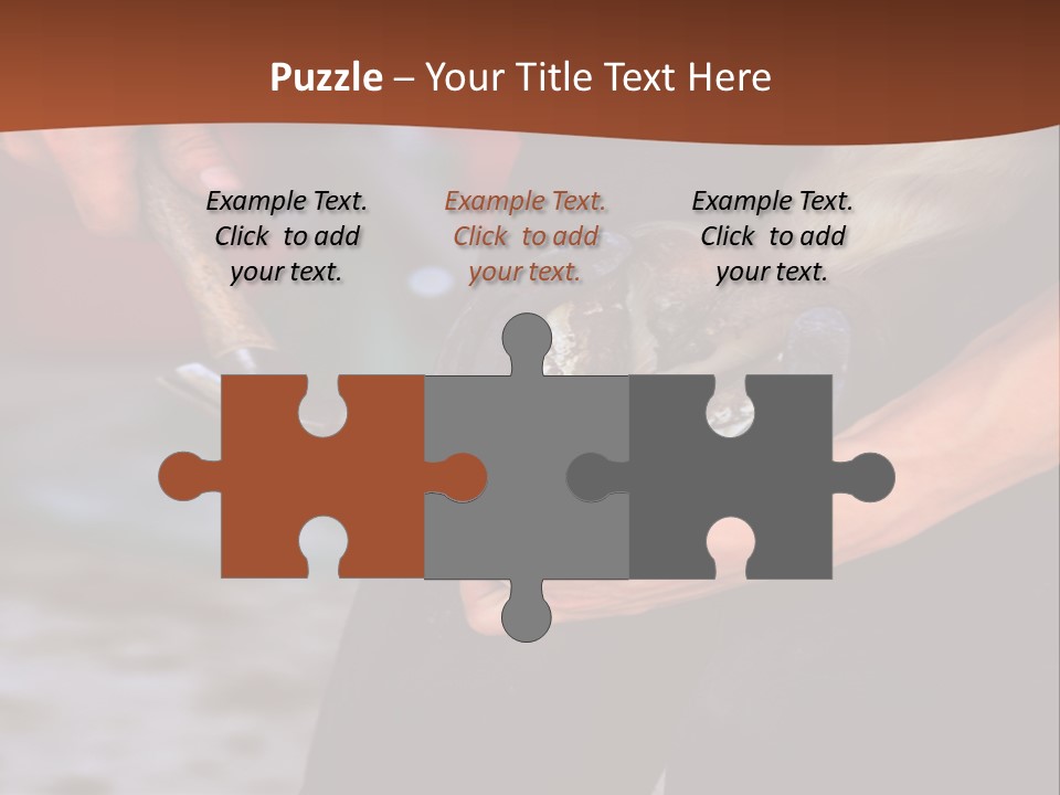 A Man Is Holding A Cat In His Hands PowerPoint Template