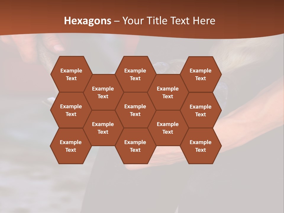 A Man Is Holding A Cat In His Hands PowerPoint Template