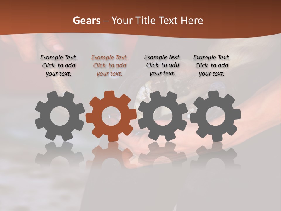 A Man Is Holding A Cat In His Hands PowerPoint Template