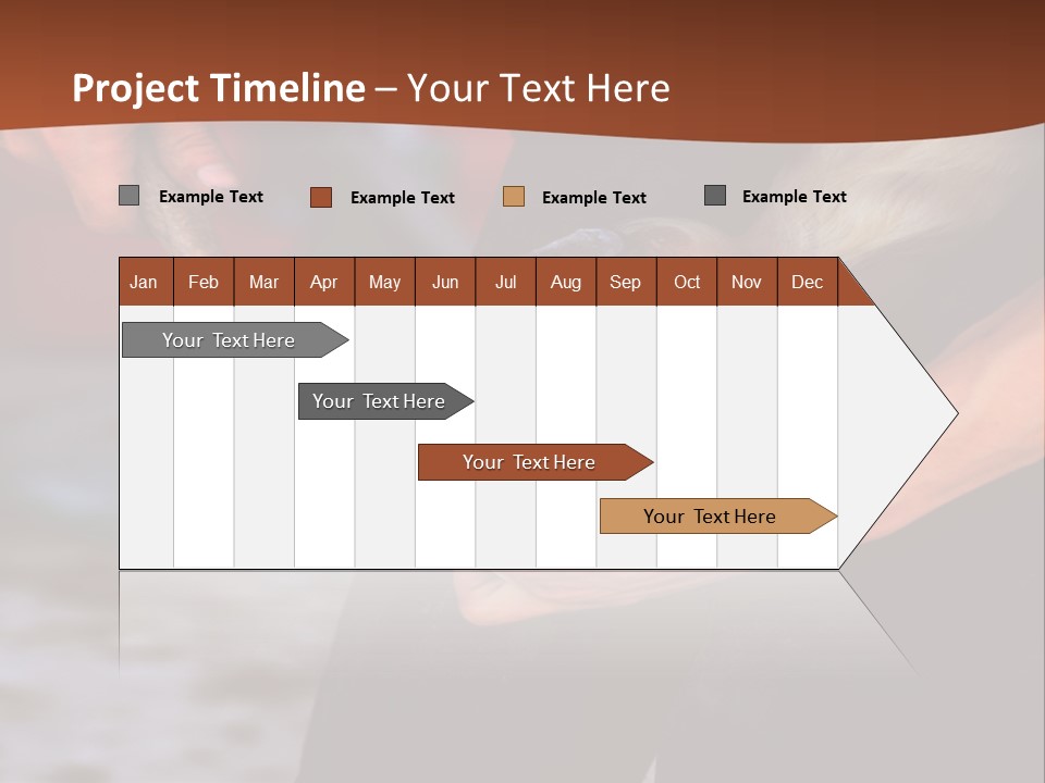 A Man Is Holding A Cat In His Hands PowerPoint Template