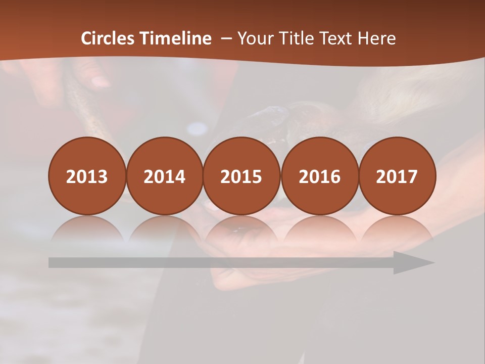 A Man Is Holding A Cat In His Hands PowerPoint Template