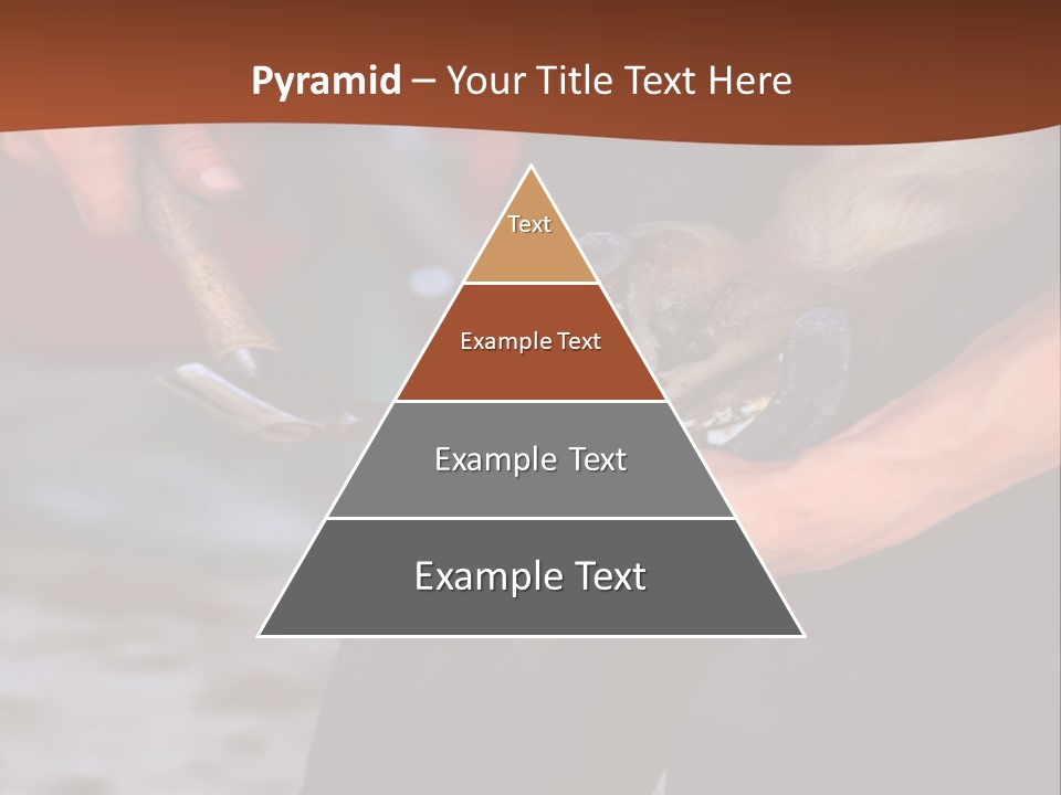 A Man Is Holding A Cat In His Hands PowerPoint Template