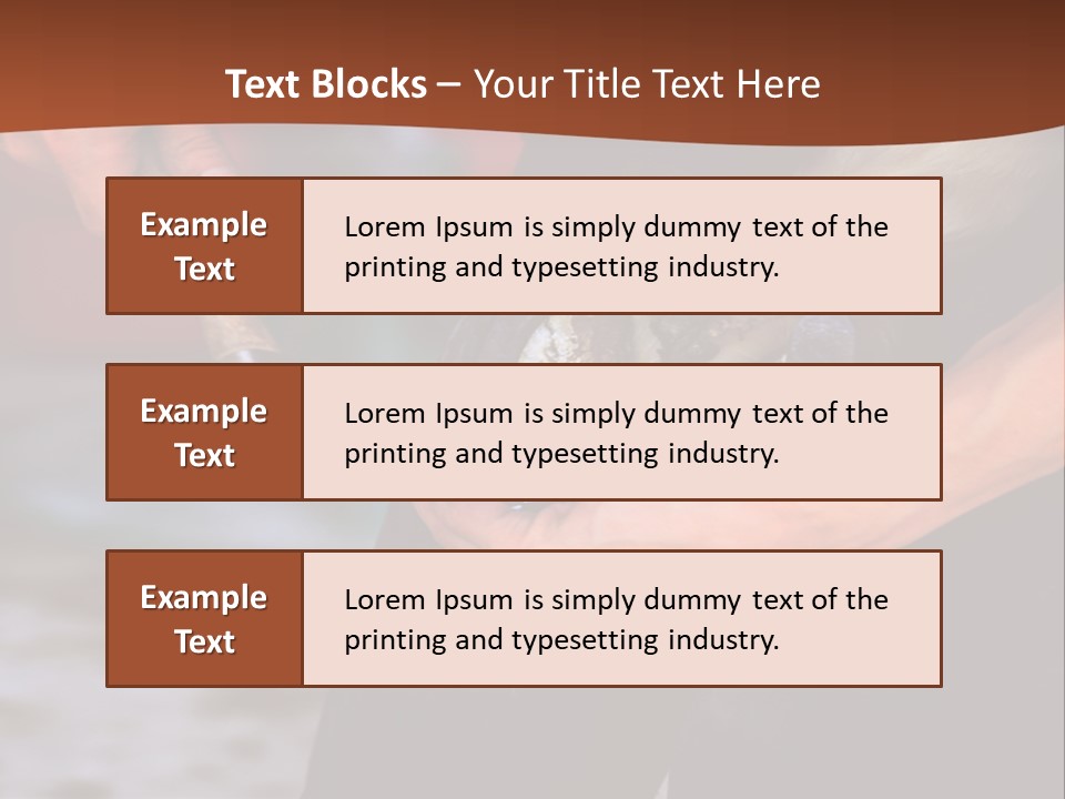 A Man Is Holding A Cat In His Hands PowerPoint Template