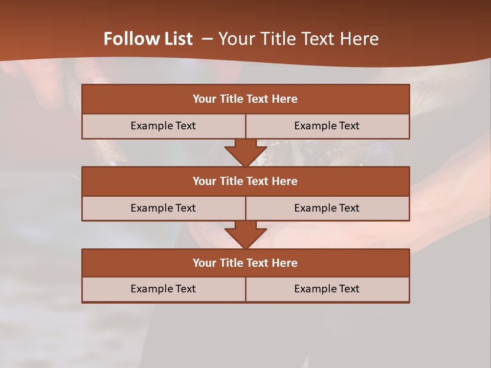 A Man Is Holding A Cat In His Hands PowerPoint Template