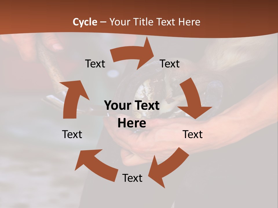 A Man Is Holding A Cat In His Hands PowerPoint Template