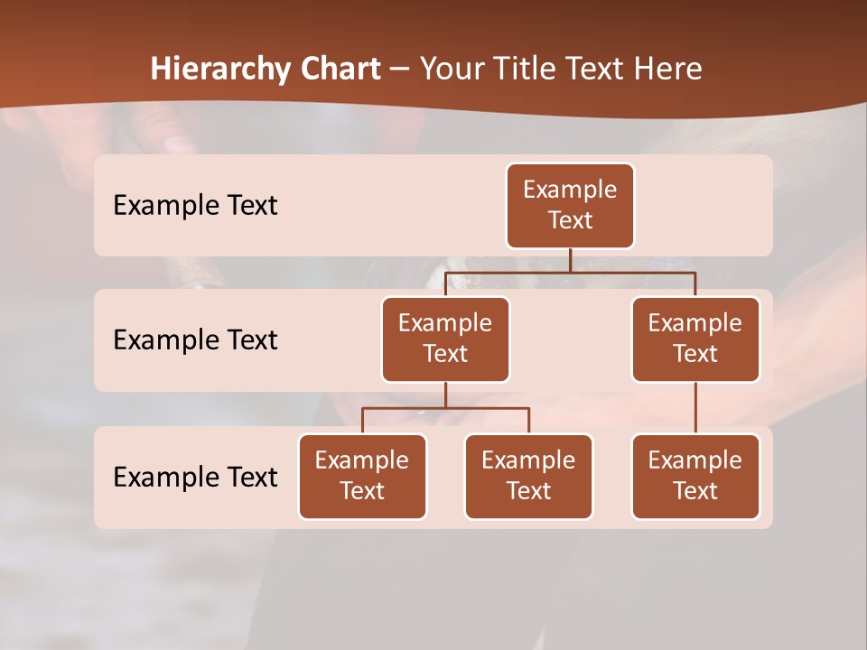 A Man Is Holding A Cat In His Hands PowerPoint Template