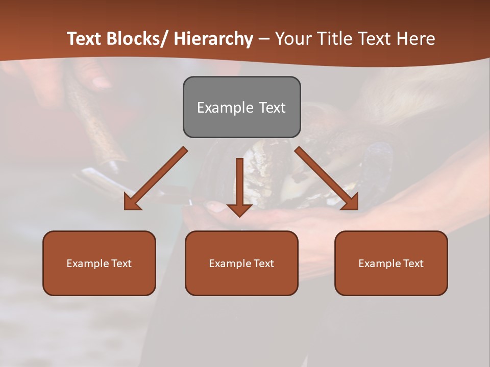 A Man Is Holding A Cat In His Hands PowerPoint Template