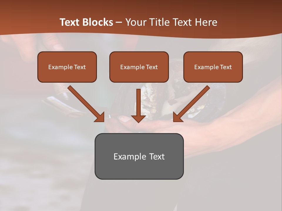 A Man Is Holding A Cat In His Hands PowerPoint Template