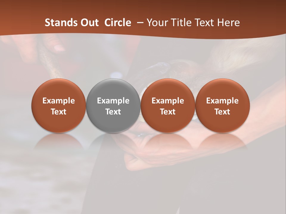 A Man Is Holding A Cat In His Hands PowerPoint Template