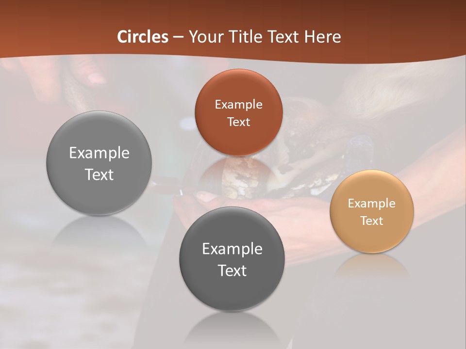 A Man Is Holding A Cat In His Hands PowerPoint Template