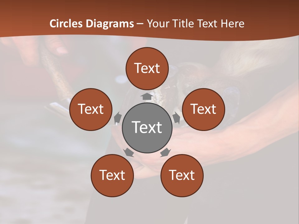 A Man Is Holding A Cat In His Hands PowerPoint Template