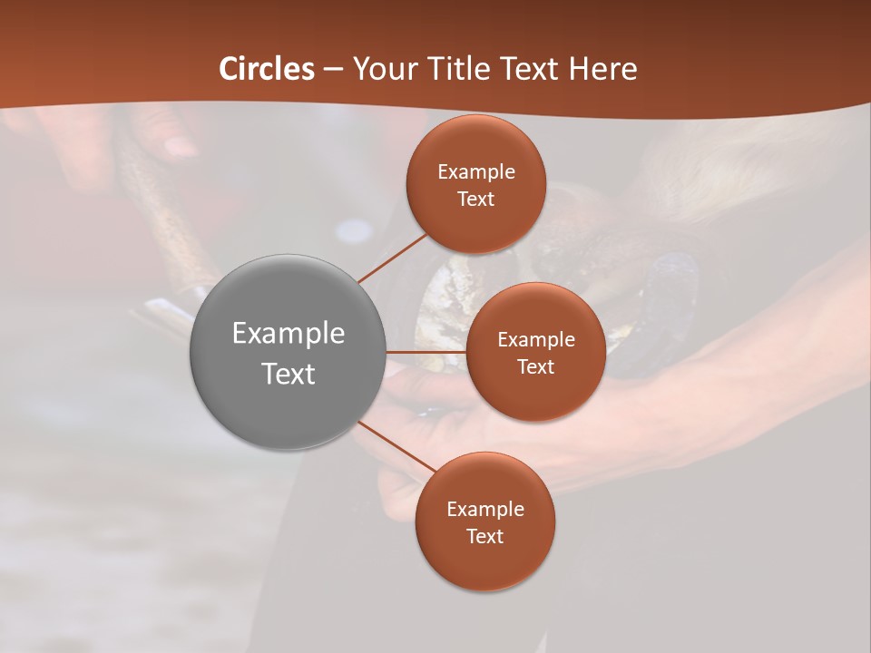 A Man Is Holding A Cat In His Hands PowerPoint Template