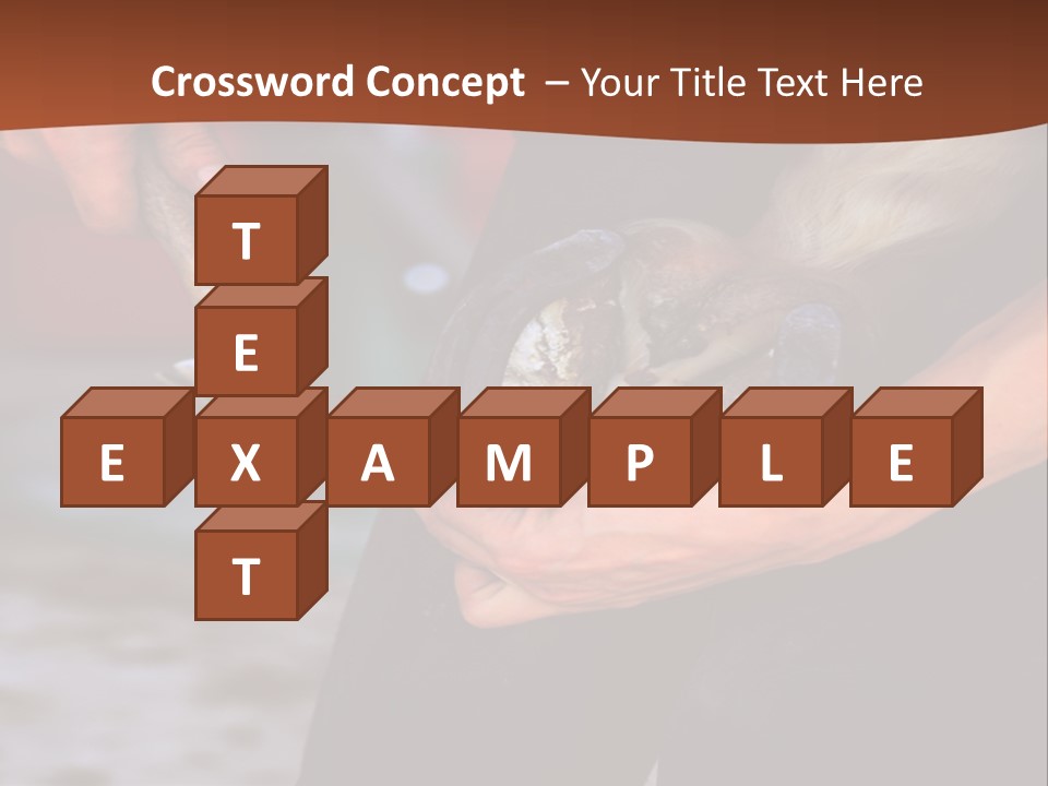 A Man Is Holding A Cat In His Hands PowerPoint Template