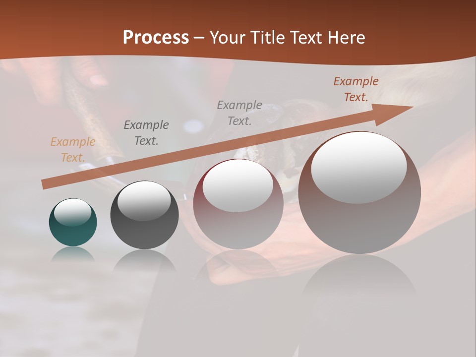 A Man Is Holding A Cat In His Hands PowerPoint Template