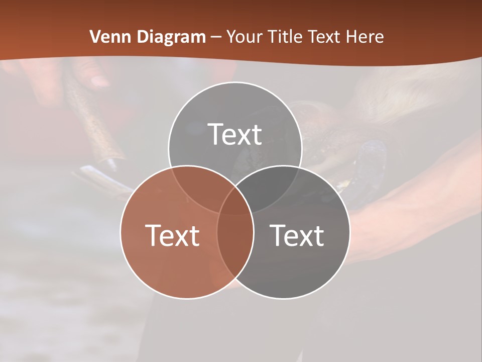 A Man Is Holding A Cat In His Hands PowerPoint Template