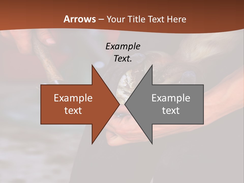 A Man Is Holding A Cat In His Hands PowerPoint Template