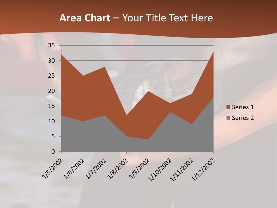 A Man Is Holding A Cat In His Hands PowerPoint Template