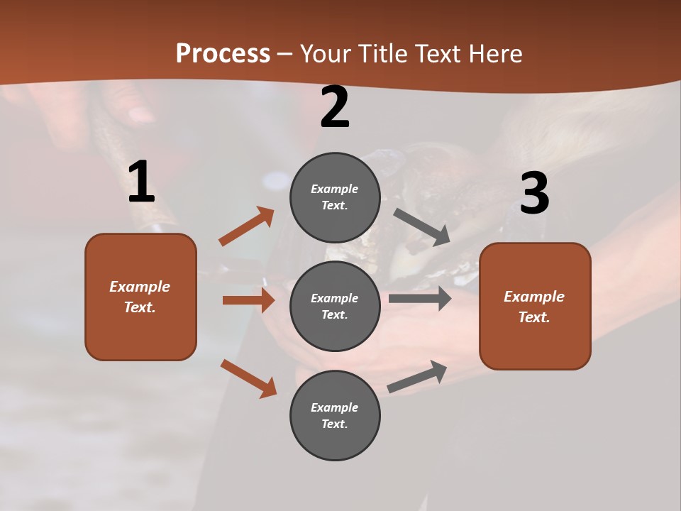 A Man Is Holding A Cat In His Hands PowerPoint Template