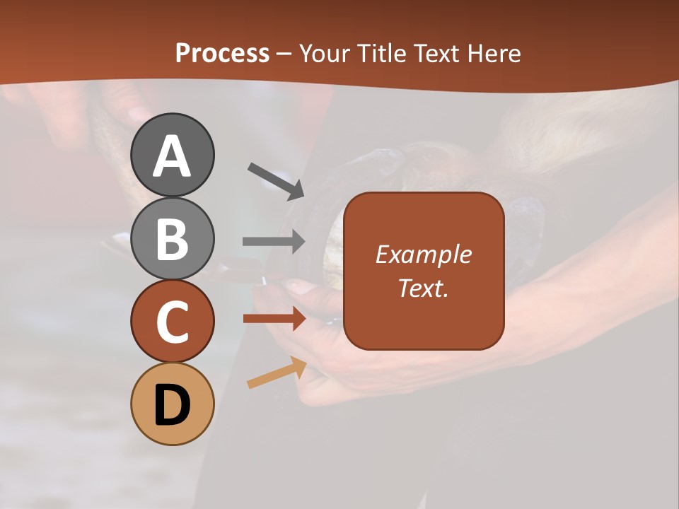 A Man Is Holding A Cat In His Hands PowerPoint Template