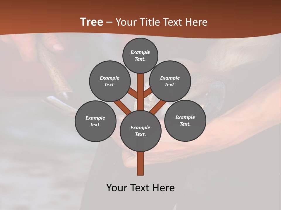 A Man Is Holding A Cat In His Hands PowerPoint Template