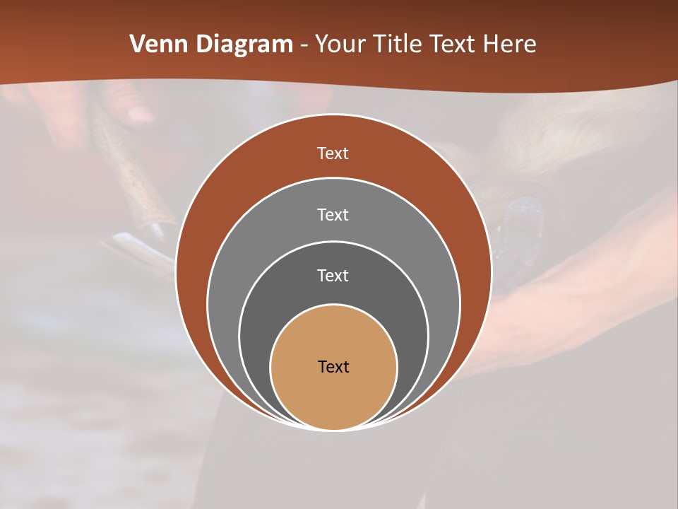 A Man Is Holding A Cat In His Hands PowerPoint Template