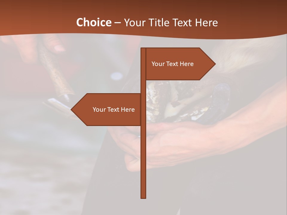 A Man Is Holding A Cat In His Hands PowerPoint Template