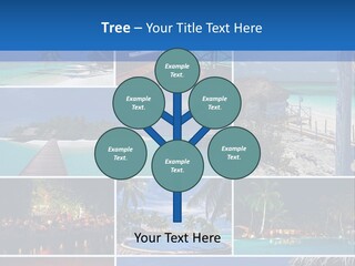 A Collage Of Different Pictures With The Words Name Of Presentation Company Name PowerPoint Template