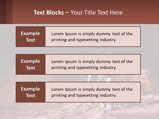 A Man In An Astronaut Suit Walking On A Rocky Surface With Mountains In The Background PowerPoint Template