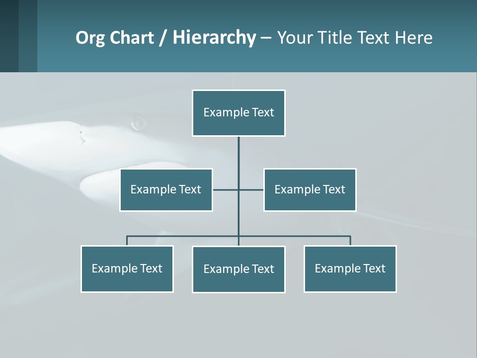 A Shark Is Swimming In The Blue Water PowerPoint Template