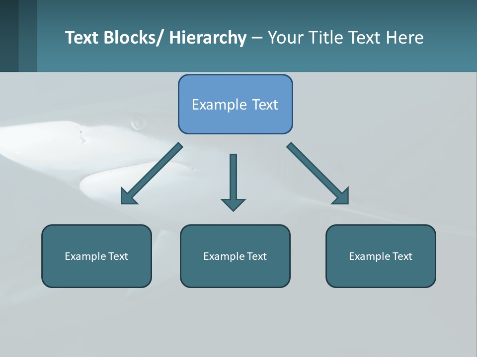 A Shark Is Swimming In The Blue Water PowerPoint Template