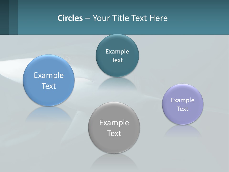 A Shark Is Swimming In The Blue Water PowerPoint Template