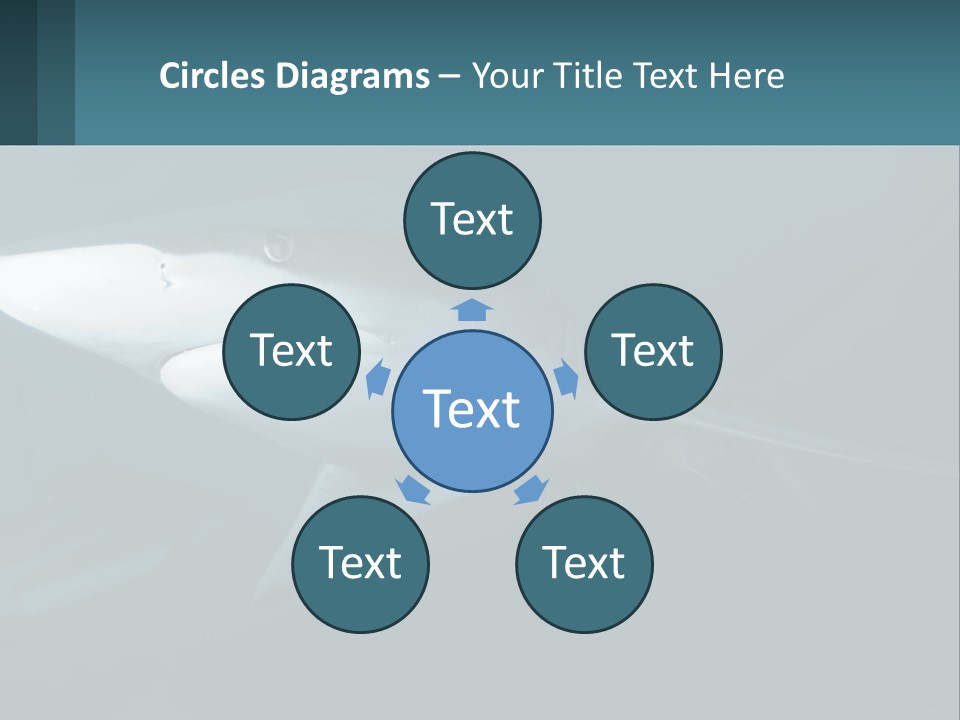 A Shark Is Swimming In The Blue Water PowerPoint Template