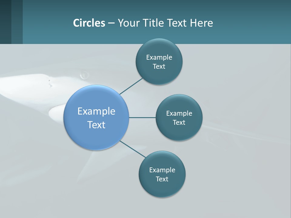 A Shark Is Swimming In The Blue Water PowerPoint Template