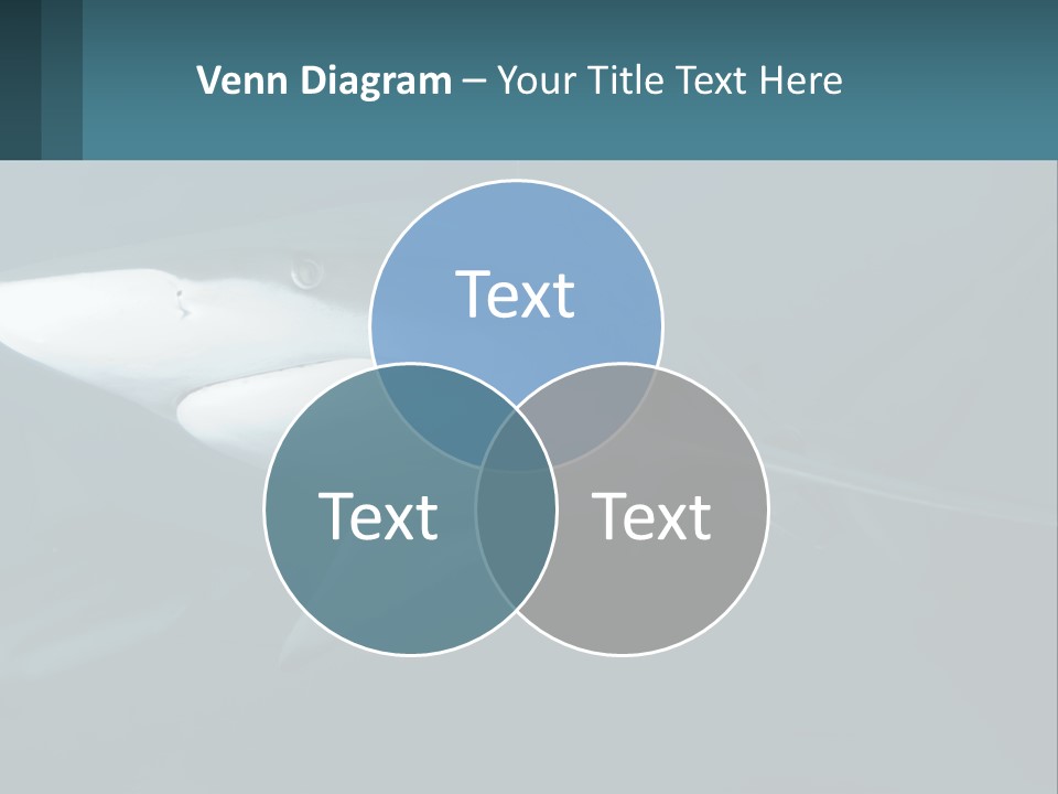 A Shark Is Swimming In The Blue Water PowerPoint Template