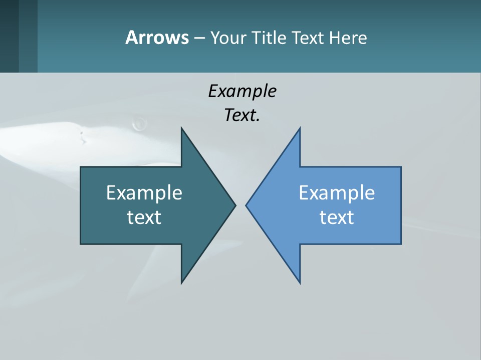 A Shark Is Swimming In The Blue Water PowerPoint Template