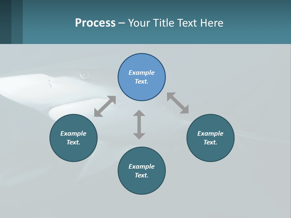 A Shark Is Swimming In The Blue Water PowerPoint Template