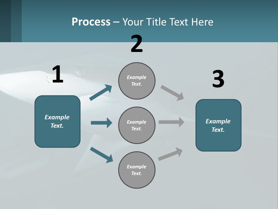 A Shark Is Swimming In The Blue Water PowerPoint Template