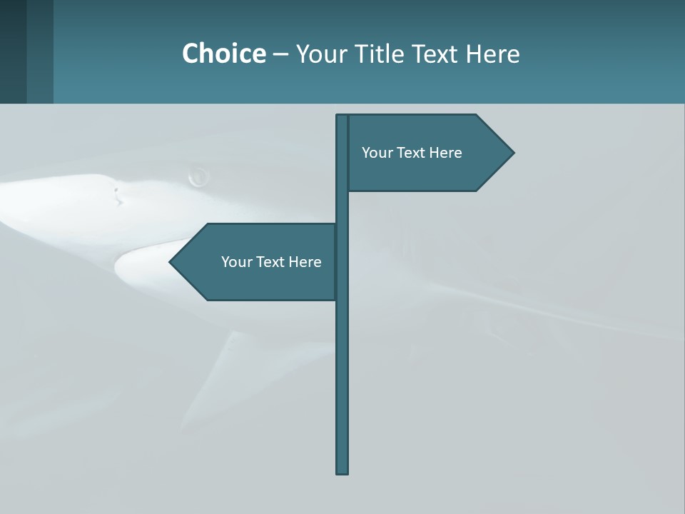 A Shark Is Swimming In The Blue Water PowerPoint Template