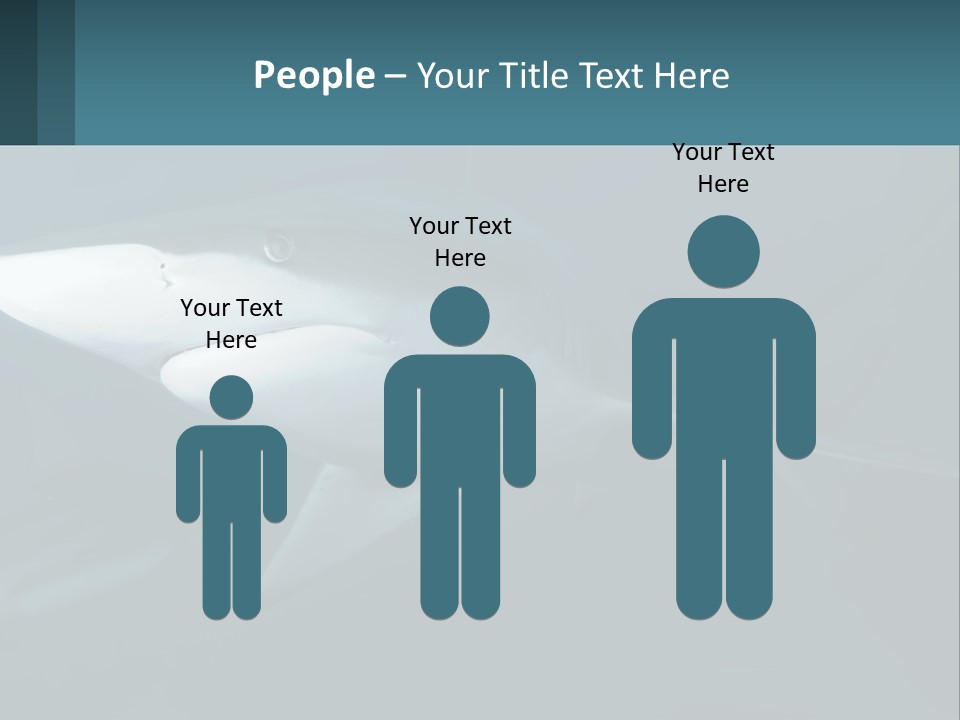 A Shark Is Swimming In The Blue Water PowerPoint Template