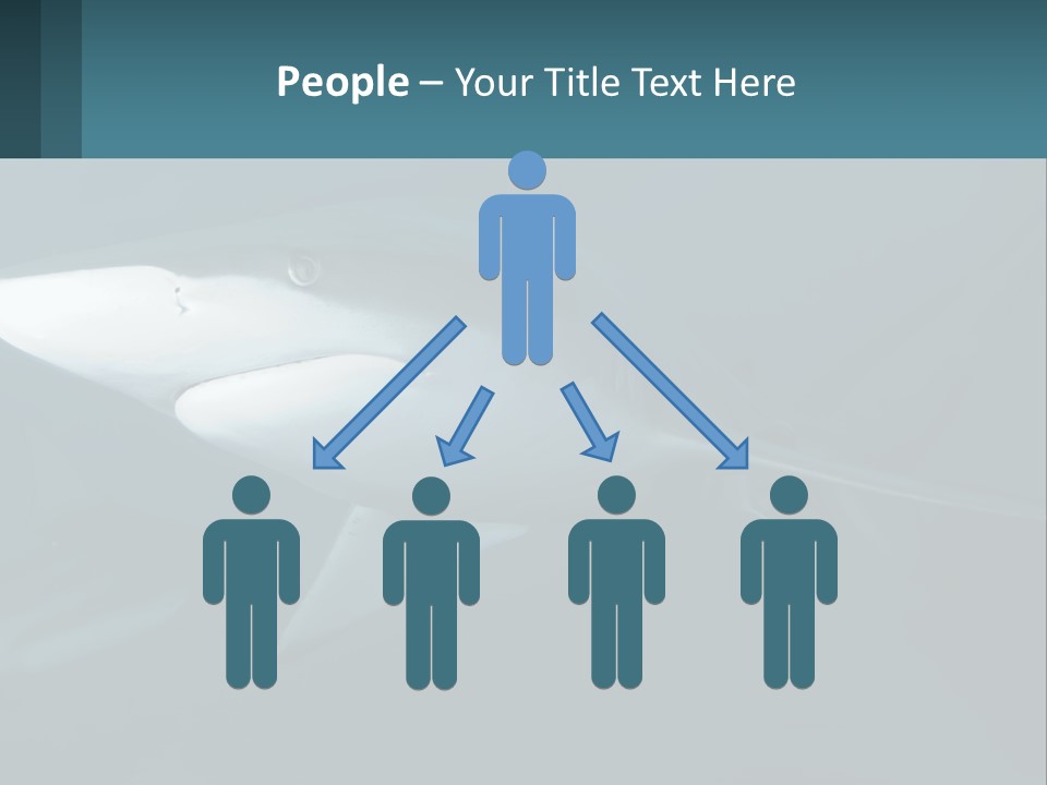 A Shark Is Swimming In The Blue Water PowerPoint Template