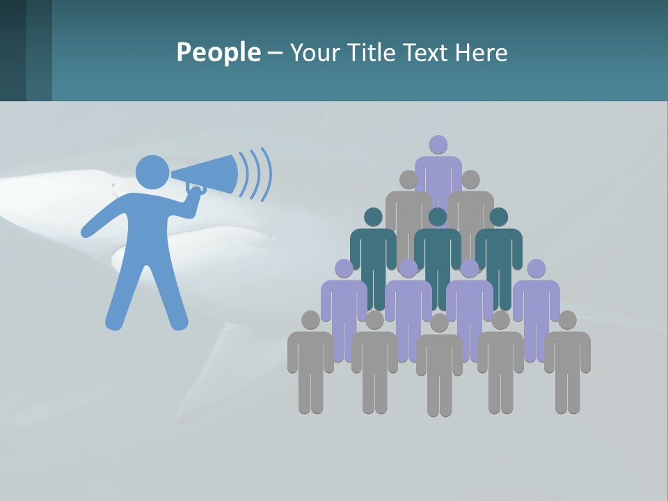 A Shark Is Swimming In The Blue Water PowerPoint Template