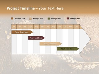 A Bunch Of Bread On A Wooden Table PowerPoint Template